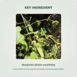 Manjishta Kwatha Churna 100gm – Ayur Vibes - Image 4