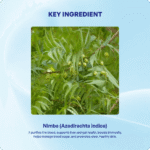 Nimba Churna (90Gms) – Ayurvibes - Image 4