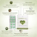 Normo HT Tablet 10 Tabs - Ayurvibes - Image 4