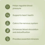 Normo HT Tablet 10 Tabs - Ayurvibes - Image 3