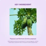 P-Plus Tablet (10 tabs) – Ayurveda One - Image 3