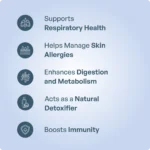 Shirisharishta 200ml - Ayurvibes - Image 3