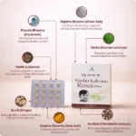 Shishu Kalyana Rasa 250Mg (30Tabs) – Ayur Vibes - Image 4