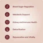 Swarna Madhumeha Sanjeevini Rasa 250Mg (30Tabs) – Ayur Vibes - Image 3