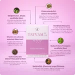 Tatvam (100Tabs) – Ayurvibes - Image 4