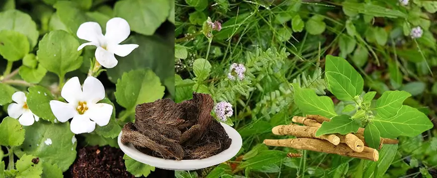 ayurvedic remedy for sleep