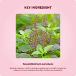 Tulasi Tablet - Image 4