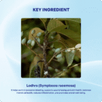 Lodhra Churna (90Gms) – Ayurvibes - Image 4