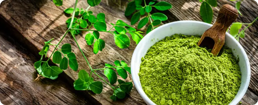 What is Moringa