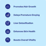 Bhringaraja Churna - Image 3