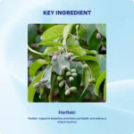 Hareetaki Churna (90gms) – Ayur Vibes - Image 4