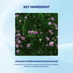 Jatamamsi Churna 90gm – Ayur Vibes - Image 4