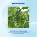 Karela Churna 90gm – Ayur Vibes - Image 3