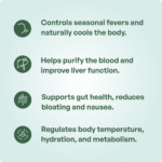 Shadanga Paniya Kwatha Churna 100gm – Ayur Vibes - Image 3