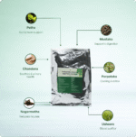 Shadanga Paniya Kwatha Churna 100gm – Ayur Vibes - Image 4