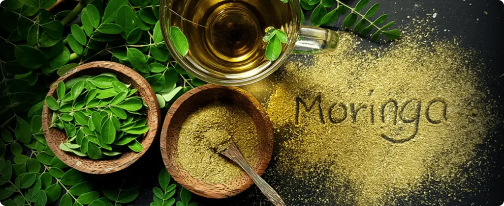 What is Moringa