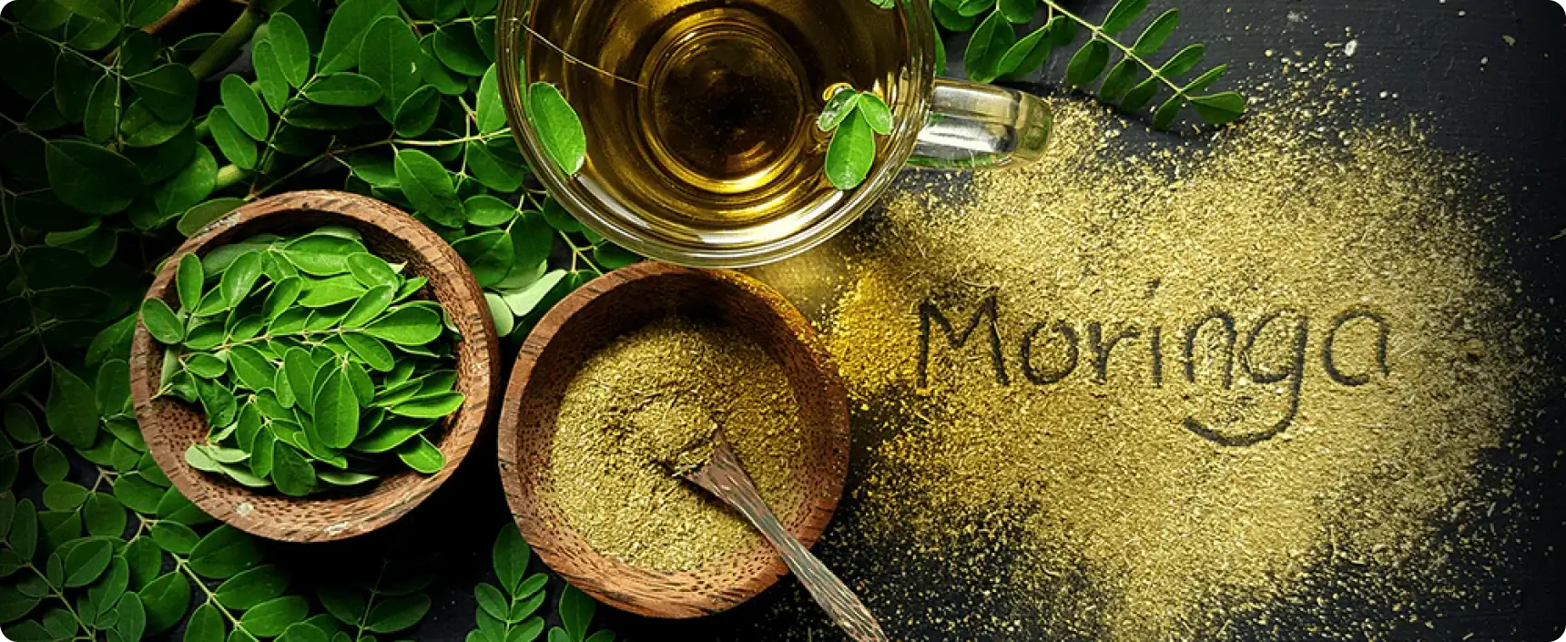 What is Moringa