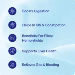 Chitraka Churna - Image 3