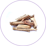 Erandamoola (Ricinus communis)