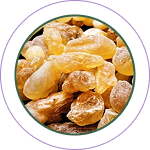 Langali Ghana ( Gloriosa superba)