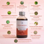 Dasamoolam Kashayam (200ml) — Ayur Vibes - Image 3