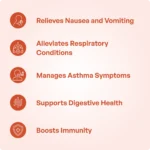 Nayopayam Kashayam (200ml) – Ayur Vibes - Image 4