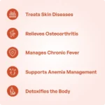 Panchatiktakam Kashayam (200ml) – Ayur Vibes - Image 4