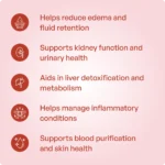 Punarnavadi Kashayam (200ml) – Ayur Vibes - Image 2