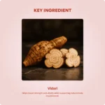 Vidaryadi Kashayam (200ml) – Ayur Vibes - Image 4