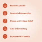 Balashwagandha Lakshadi Taila (200ml) – Ayur Vibes - Image 3