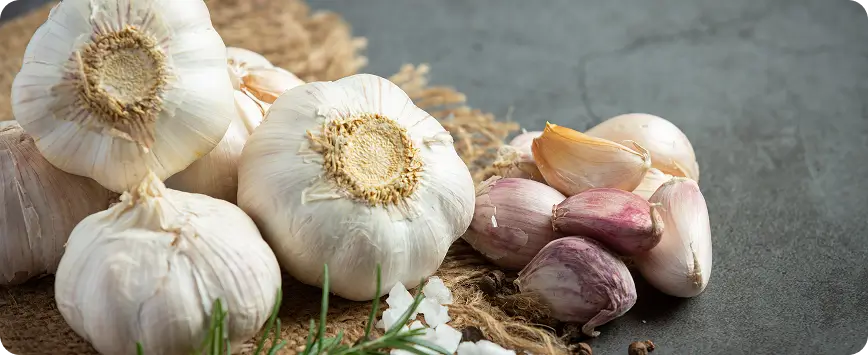 Ayurvedic Medicine for Cholesterol
