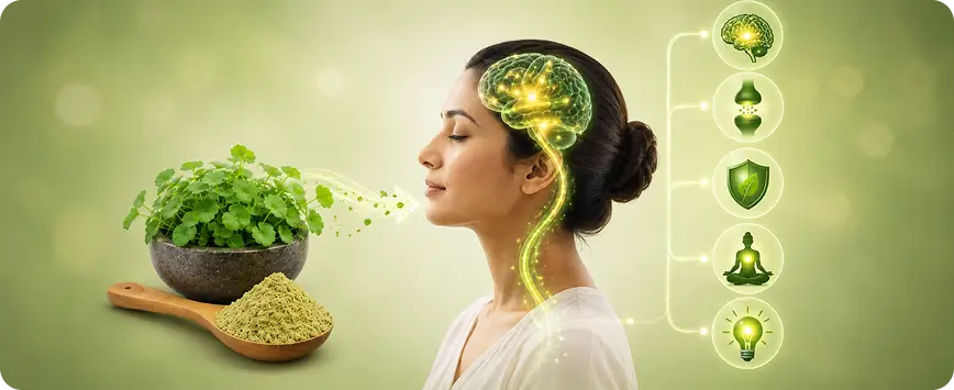 how brahmi works