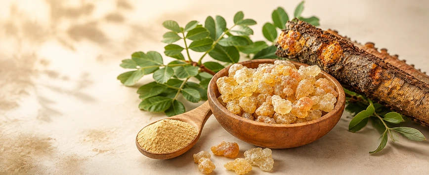 Why Ayurvedic Remedies Are a Safe Choice for Joint and Muscle Pain